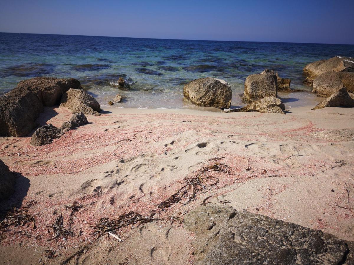 Casa Vacanza Da Samuele San Vito Lo Capo Luaran gambar